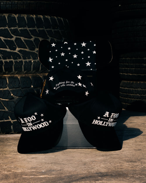 A FOO IN HOLLYWOOD - OG STARS